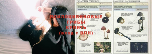 синтетический гашиш Касимов