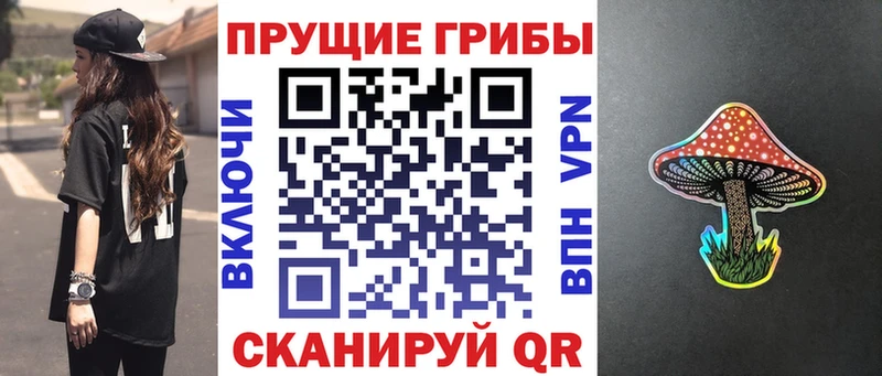 Псилоцибиновые грибы Psilocybe Купить закладки Кяхта